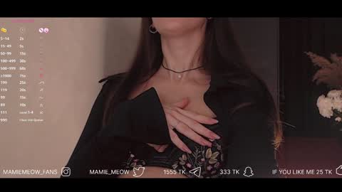 Snapshot of mamiemeow chatting on 01/29/25, 03:58 Your Miss Alice online show from 01/29/25, 03:58