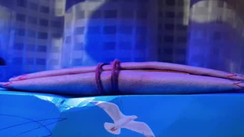 Snapshot of mansturbate_22 chatting on 11/20/25, 12:33 Daniel toyboy 97 online show from 11/20/25, 12:33