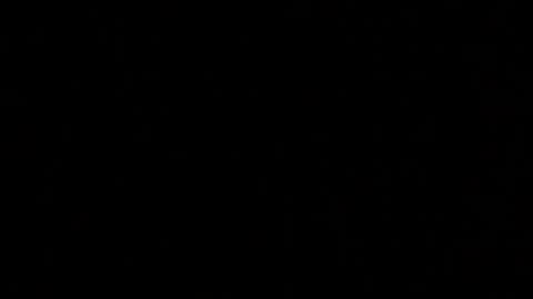 Elle online show from 10/11/25, 02:26