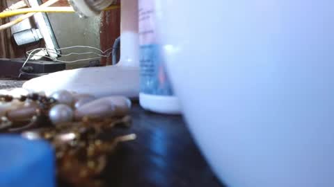 Snapshot of mariposa_911 chatting on 03/09/25, 04:05 LEAH online show from 03/09/25, 04:05