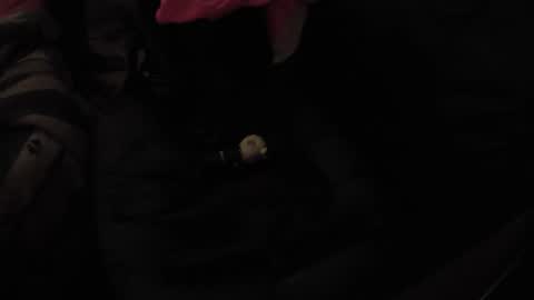 martamoontrans online show from 11/17/25, 10:32