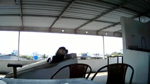 Snapshot of master_cospi96 chatting on 02/14/25, 02:54 Master Cospi online show from 02/14/25, 02:54