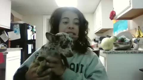 Snapshot of mastressluna chatting on 11/21/25, 09:24 Mastress Luna online show from 11/21/25, 09:24