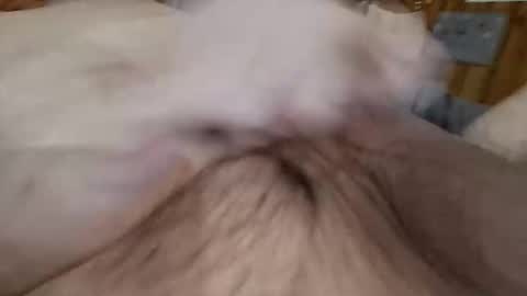 Snapshot of masturbator469658 chatting on 11/07/25, 02:50 masturbator469658 online show from 11/07/25, 02:50