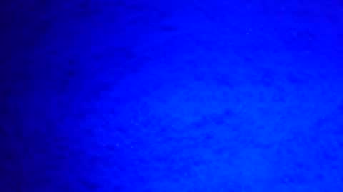 Ignacio online show from 12/29/24, 08:22