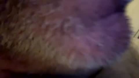 Snapshot of maverick7000 chatting on 02/23/25, 08:17 maverick7000 online show from 02/23/25, 08:17