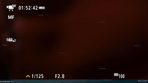 Snapshot of maximus_787 chatting on 01/31/25, 11:35 Maximus7871 online show from 01/31/25, 11:35