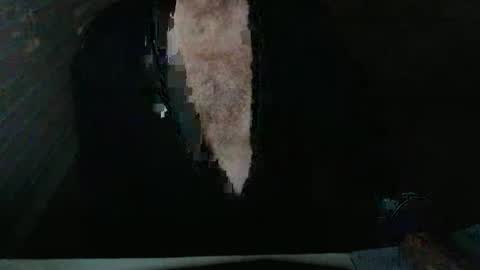 Beastie online show from 11/05/25, 03:50