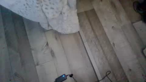 me_him_us_them online show from 11/19/25, 11:10