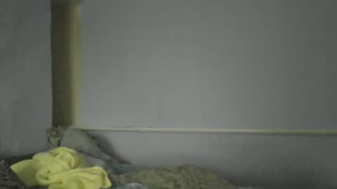 Snapshot of medjik_lool chatting on 12/30/24, 01:14 Oltereodora-lima online show from 12/30/24, 01:14