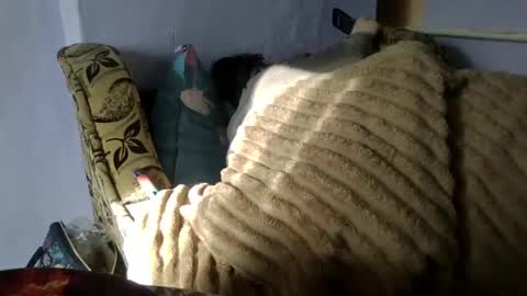Snapshot of medjik_lool chatting on 01/10/25, 08:40 Oltereodora-lima online show from 01/10/25, 08:40