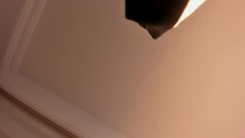 Snapshot of megan_moore__ chatting on 02/01/25, 05:58 online show from 02/01/25, 05:58