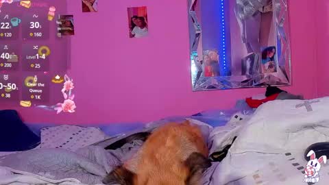 Snapshot of mejialuisa0142 chatting on 03/02/25, 06:16 Luisa online show from 03/02/25, 06:16