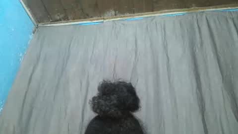 meld2599 online show from 11/11/25, 04:01