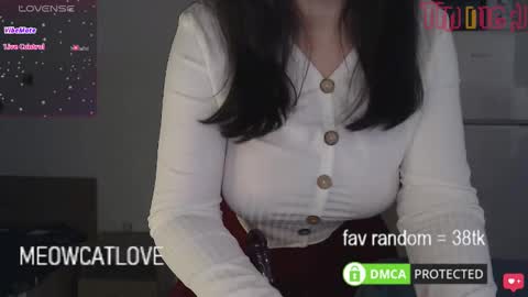 Snapshot of meowcatlove chatting on 01/20/25, 09:01 meowcatlove online show from 01/20/25, 09:01