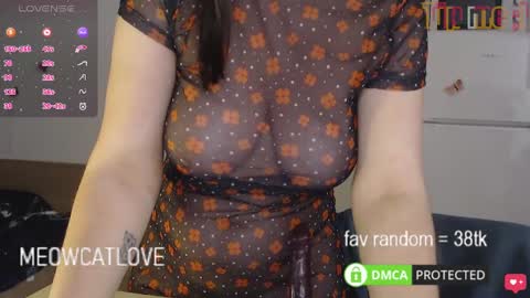 Snapshot of meowcatlove chatting on 01/26/25, 11:08 meowcatlove online show from 01/26/25, 11:08