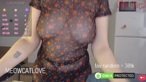 Snapshot of meowcatlove chatting on 01/27/25, 06:31 meowcatlove online show from 01/27/25, 06:31