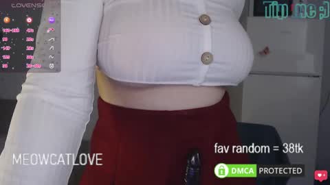 Snapshot of meowcatlove chatting on 03/08/25, 06:37 meowcatlove online show from 03/08/25, 06:37