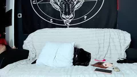 meowroslava online show from 11/17/25, 10:32