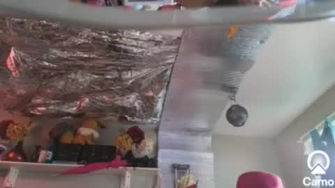 gurlnips online show from 12/26/24, 09:04