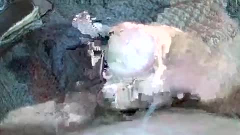 mexianthehawk online show from 11/03/25, 11:22