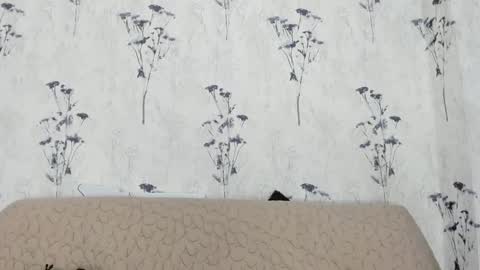 Mia  online show from 01/10/25, 03:06