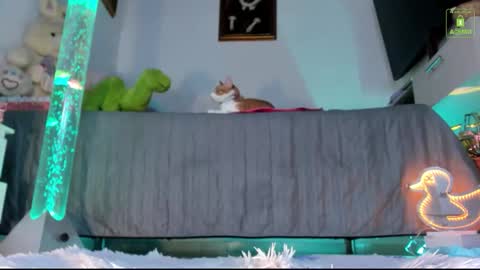 Snapshot of mia_starss chatting on 11/16/25, 11:43 Mia online show from 11/16/25, 11:43