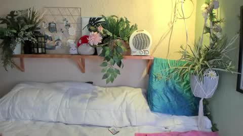 Snapshot of miaa_rose__ chatting on 12/20/24, 07:12 Miaa online show from 12/20/24, 07:12