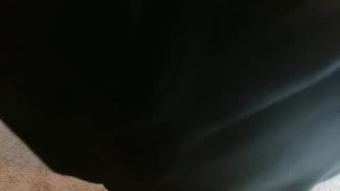 mikehey1 online show from 10/01/25, 03:51