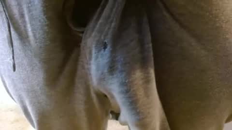 mikehey1 online show from 11/27/25, 08:55