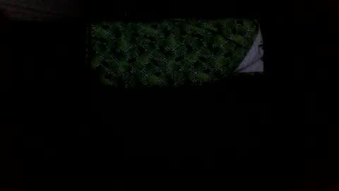 MICHAEL MOTORCYCLE online show from 10/05/25, 01:59