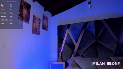 Milan  online show from 01/31/25, 11:24