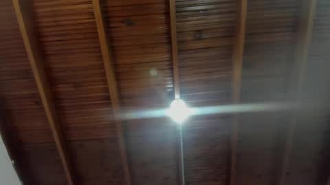 Snapshot of milarose4 chatting on 12/31/24, 11:53 Mila Rose online show from 12/31/24, 11:53