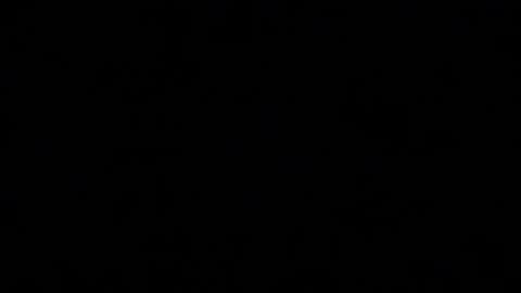 Mila online show from 11/10/25, 02:16