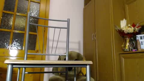 Im  to see you here Pvts are open  I love patterns soo much online show from 12/04/24, 06:11