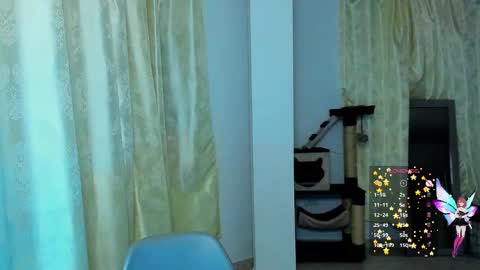 Snapshot of minefoxy2 chatting on 12/02/24, 06:41 Amber online show from 12/02/24, 06:41