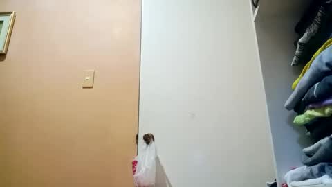 Snapshot of mirana_xxx chatting on 10/30/25, 10:43 Im Ping online show from 10/30/25, 10:43