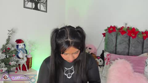 Snapshot of miss_brunette_ chatting on 12/29/24, 04:16 lucy 3 online show from 12/29/24, 04:16