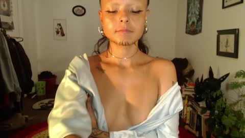 Snapshot of missanarky chatting on 02/11/25, 02:14 Anarkitten online show from 02/11/25, 02:14