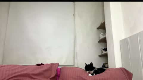 missangeldust online show from 10/27/25, 11:52