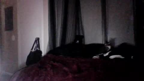 Snapshot of missgospelz_entertainmentz chatting on 02/27/25, 02:21 missgospel online show from 02/27/25, 02:21