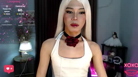 Stella online show from 10/18/25, 07:42