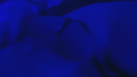 Snapshot of misterfixxit chatting on 10/04/25, 06:00 Mike Cho online show from 10/04/25, 06:00