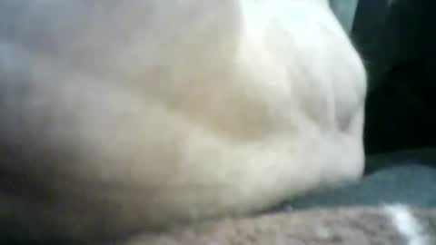 Snapshot of mlkklm47 chatting on 01/02/25, 04:13 mlkklm47 online show from 01/02/25, 04:13