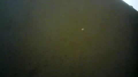 Snapshot of mlkklm47 chatting on 01/03/25, 07:39 mlkklm47 online show from 01/03/25, 07:39