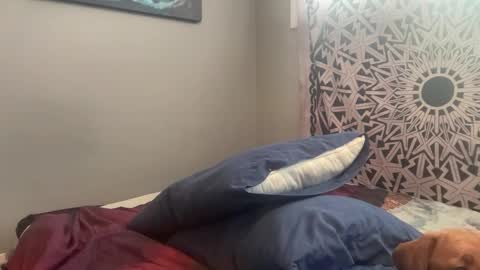 MNTuiLa online show from 02/15/25, 03:39