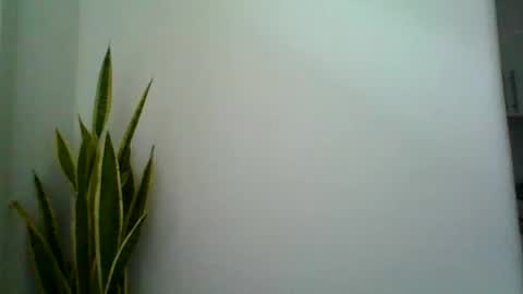 mollypepe online show from 09/09/25, 09:42