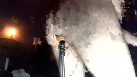 monegg anal online show from 12/24/24, 07:55