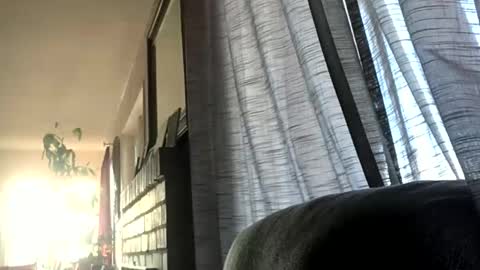 Monkee Dance online show from 12/17/24, 05:36