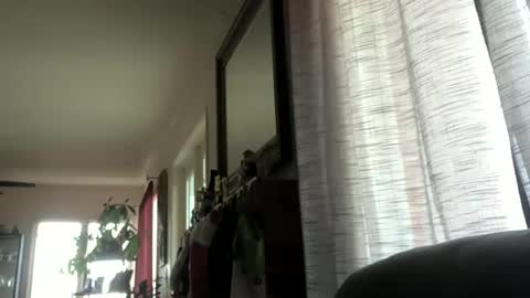 Monkee Dance online show from 12/23/24, 10:01